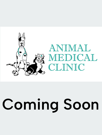 Animal Medical Clinic of Connecticut Coming Soon